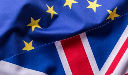 Vet industry responds to UK-EU summit commitments